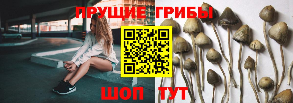 Малоярославец  Галлюциногенные грибы мухоморы  Псилоцибиновые грибы Magic Shrooms  Вход с VPN 